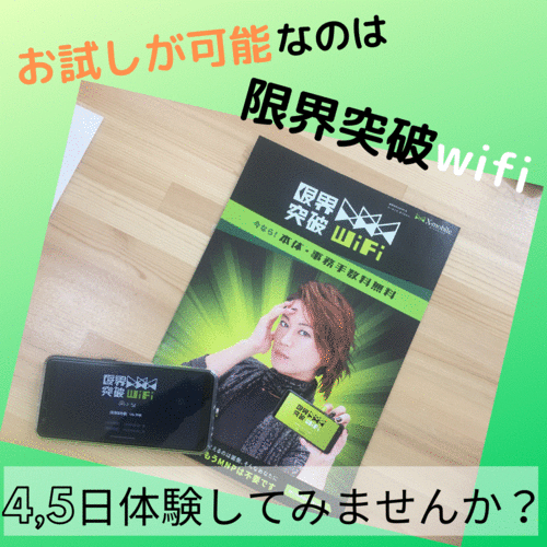 otameshitannmatu.gif
